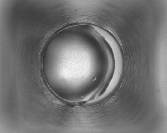 X0000067830673200605041624