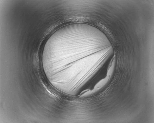 X0000067830674200605041624