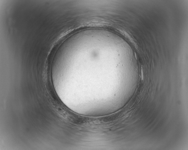 X0000067830675200605041624