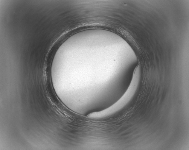 X0000067830676200605041624