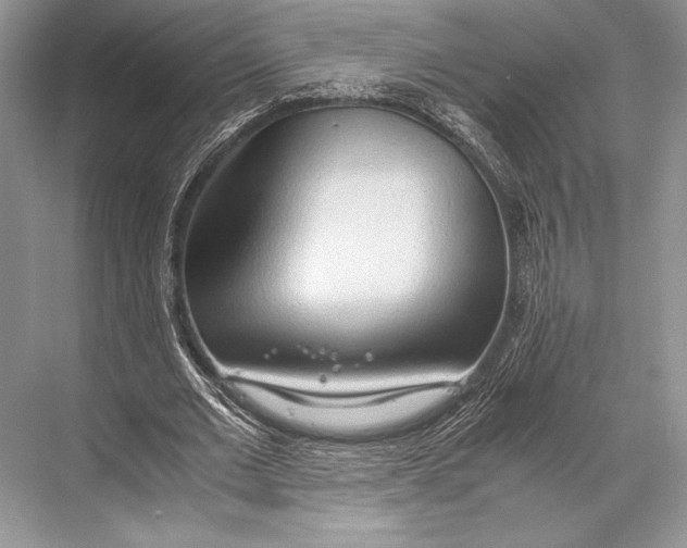 X0000067830677200605041624