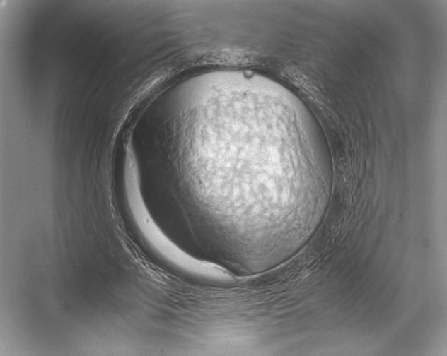 X0000067830679200605041624