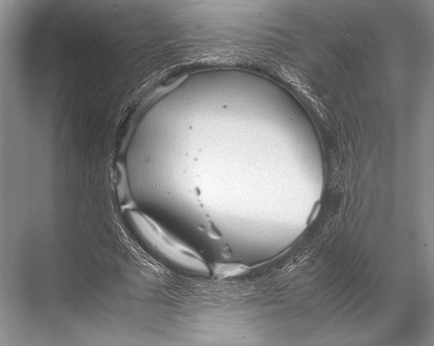 X0000067830681200605041624