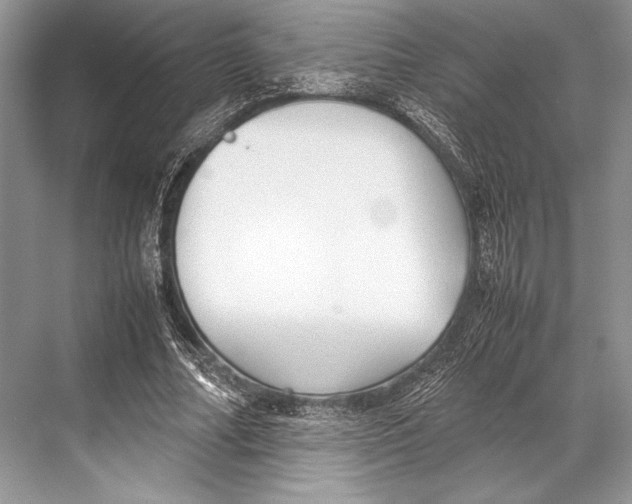 X0000067830682200605041624