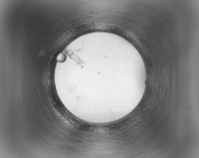 X0000067830683200605041624