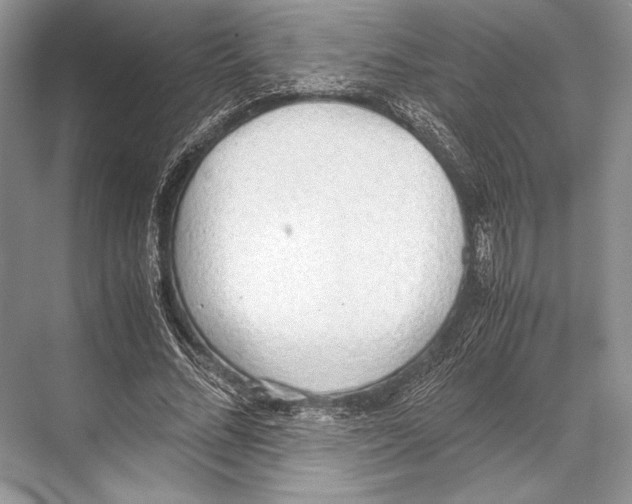 X0000067830684200605041624