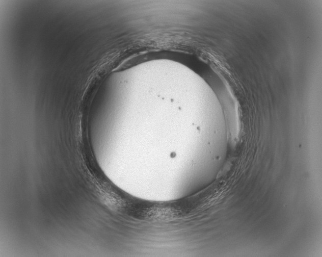 X0000067830685200605041624