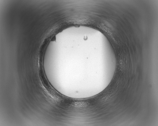 X0000067830686200605041624