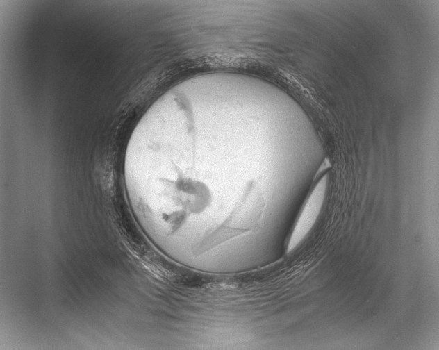 X0000067830687200605041624