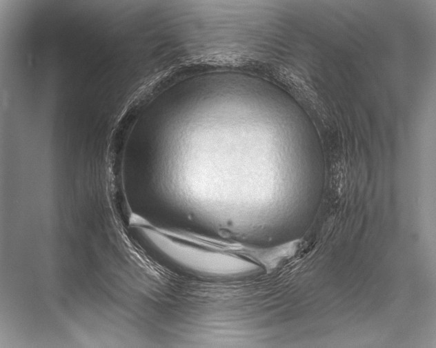 X0000067830688200605041624