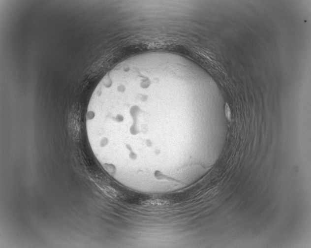 X0000067830691200605041624