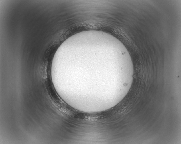 X0000067830694200605041624