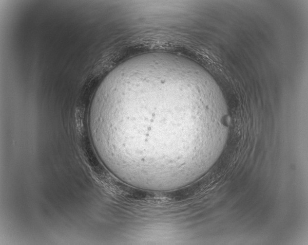 X0000067830695200605041624