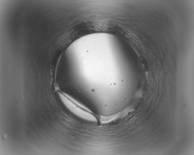 X0000067830697200605041624