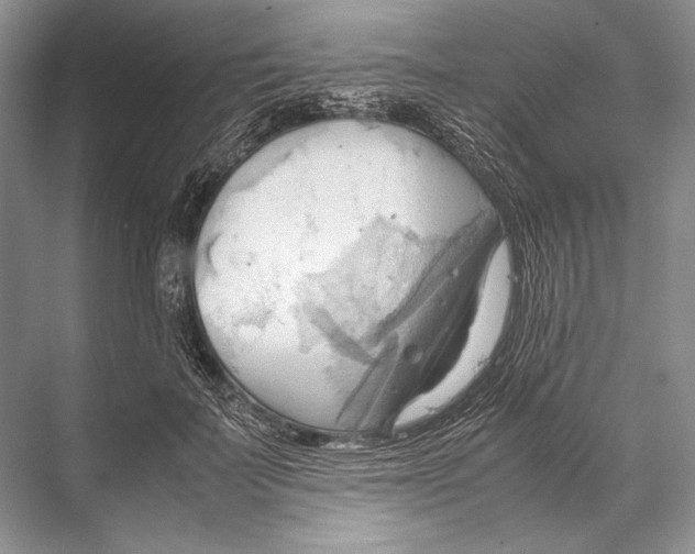 X0000067830699200605041624