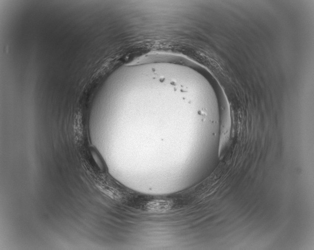 X0000067830700200605041624