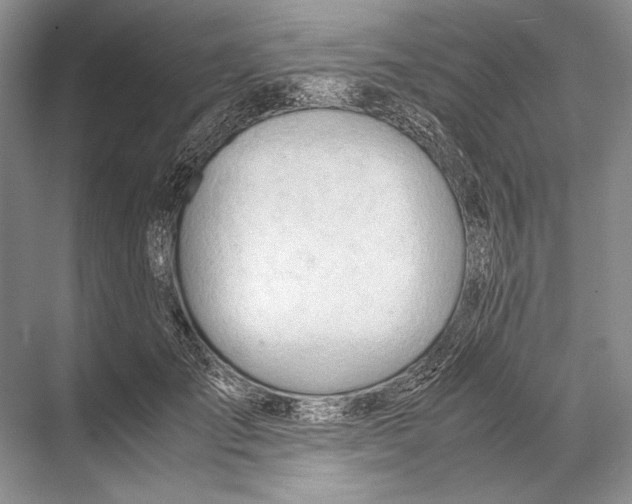 X0000067830701200605041624