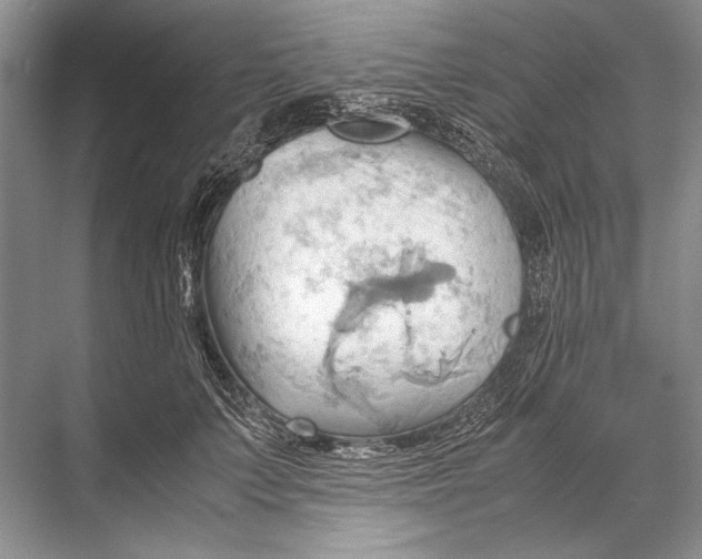 X0000067830703200605041624