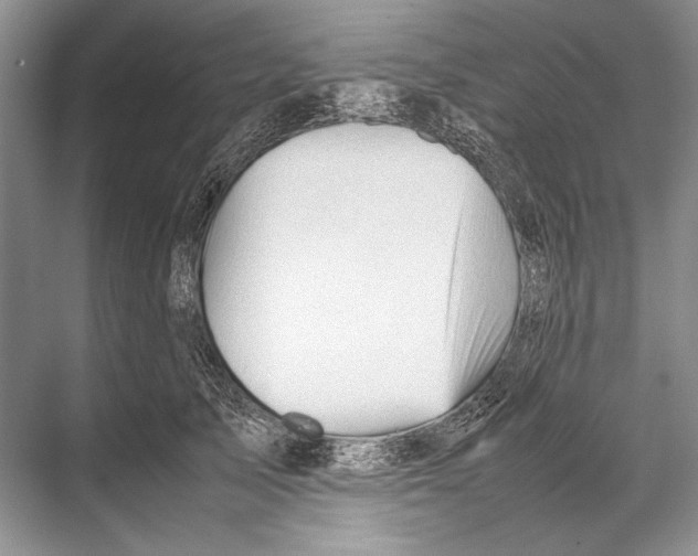 X0000067830705200605041624