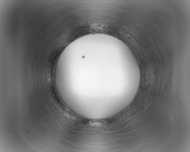 X0000067830706200605041624