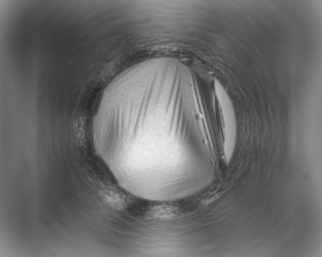 X0000067830708200605041624