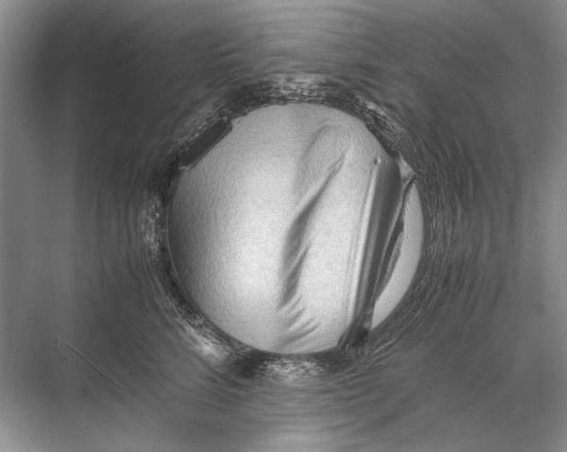 X0000067830712200605041623