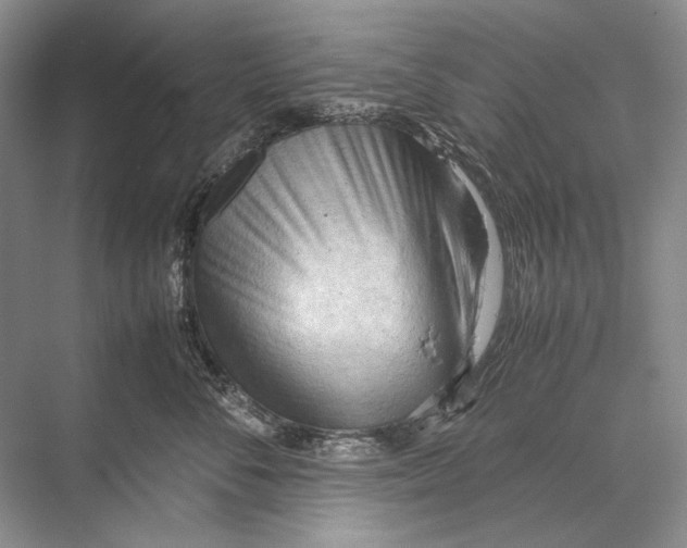 X0000067830716200605041623