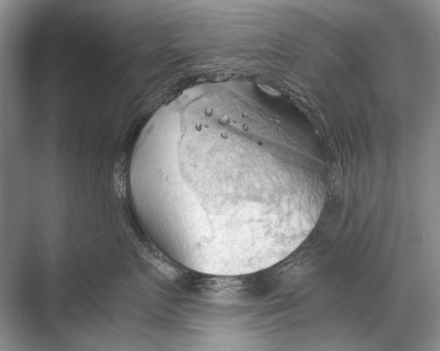 X0000067830719200605041623