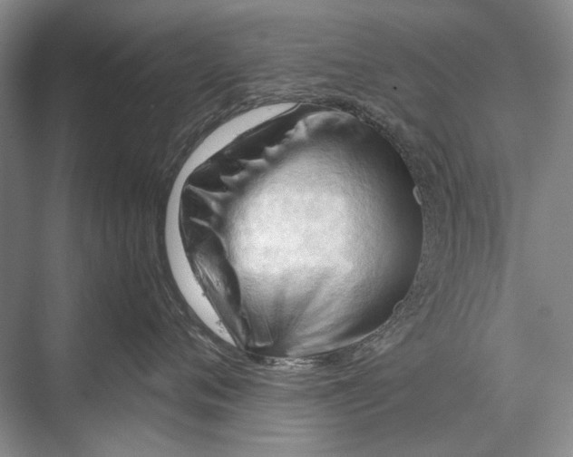 X0000067830720200605041623