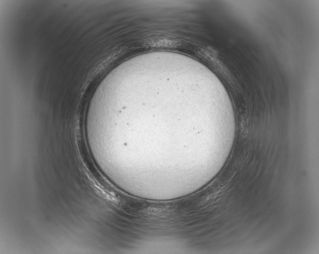 X0000067830725200605041623