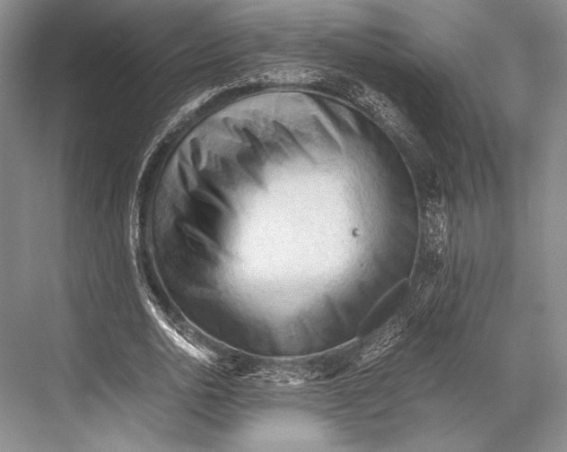 X0000067830726200605041623