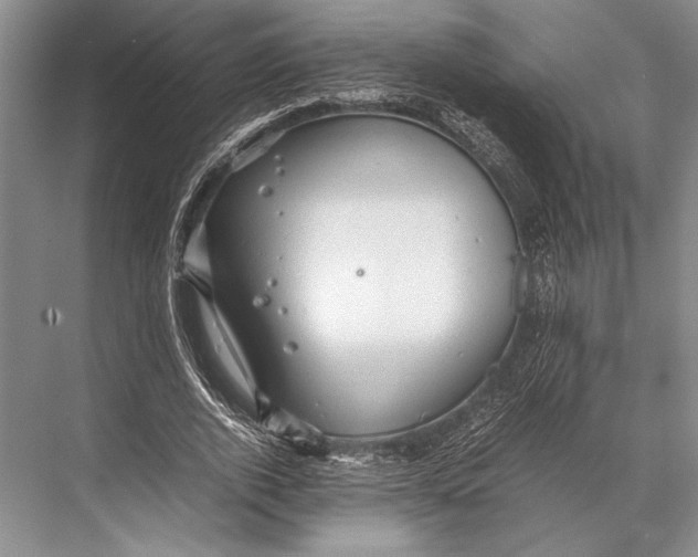 X0000067830728200605041623