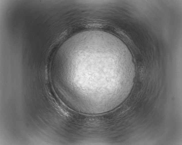 X0000067830729200605041623