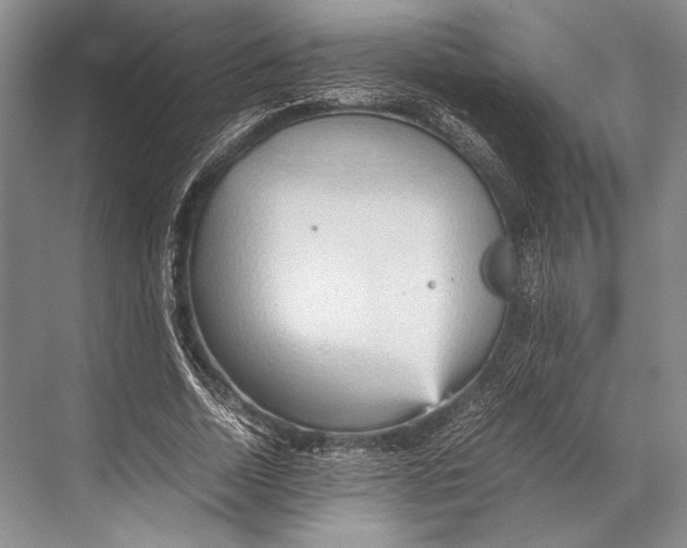 X0000067830730200605041623