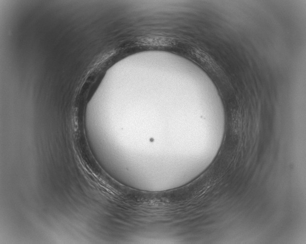 X0000067830731200605041623