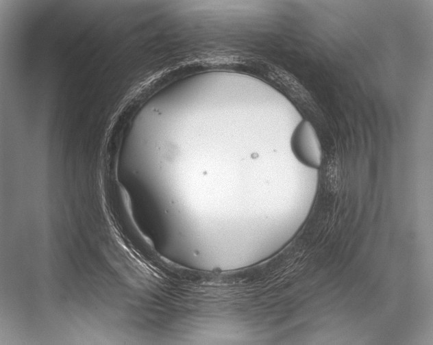 X0000067830732200605041623