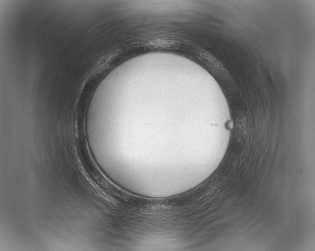 X0000067830734200605041623