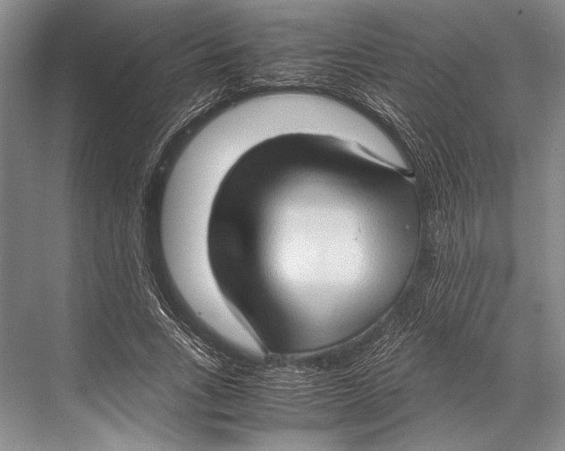 X0000067830735200605041623