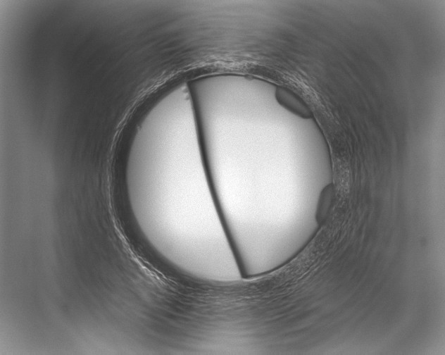 X0000067830736200605041623