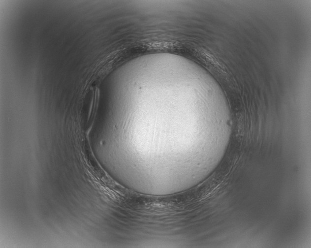 X0000067830737200605041623