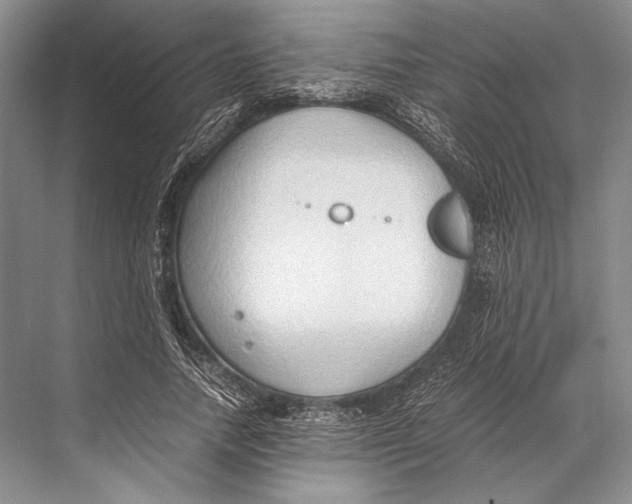 X0000067830738200605041623