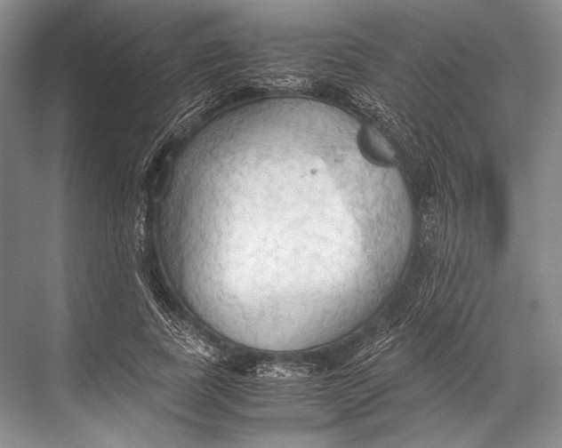 X0000067830739200605041623