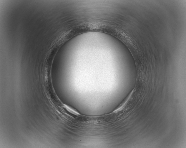 X0000067830740200605041623