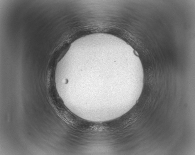 X0000067830742200605041623