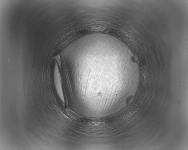 X0000067830745200605041623