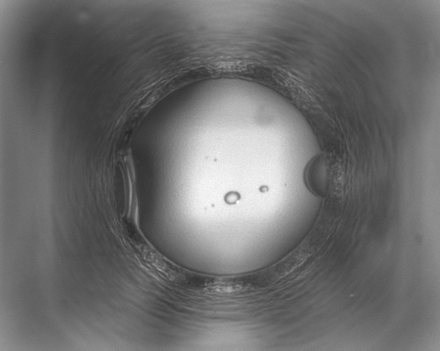 X0000067830746200605041623