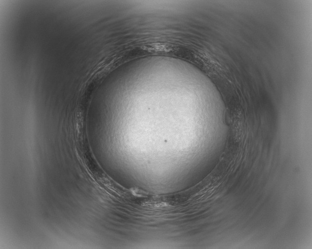 X0000067830747200605041623