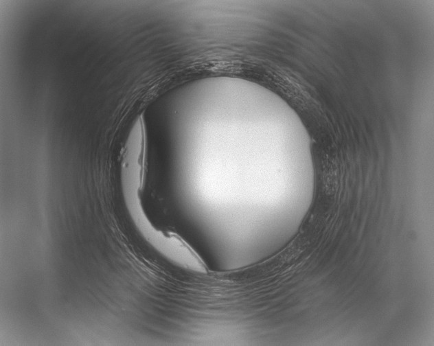 X0000067830748200605041623