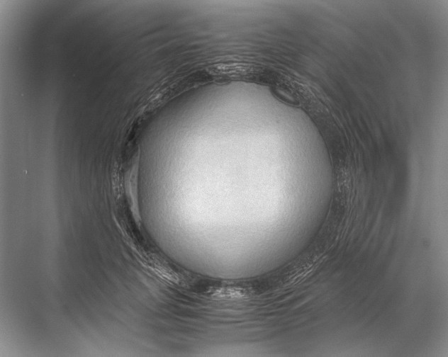 X0000067830751200605041623