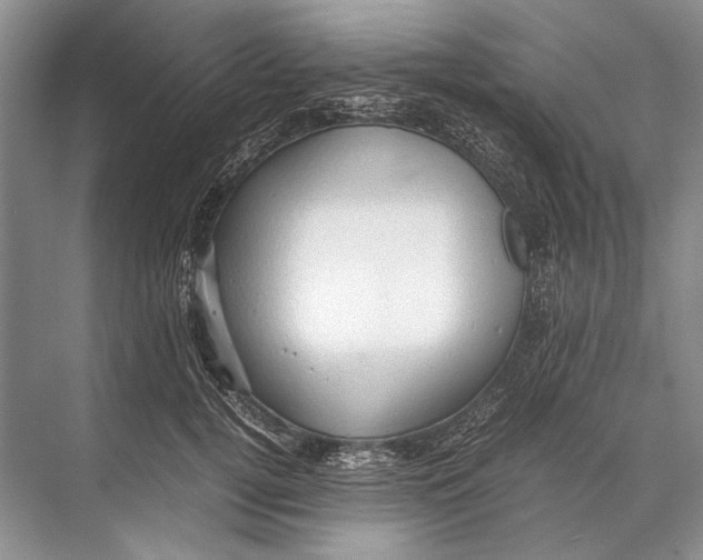 X0000067830752200605041623